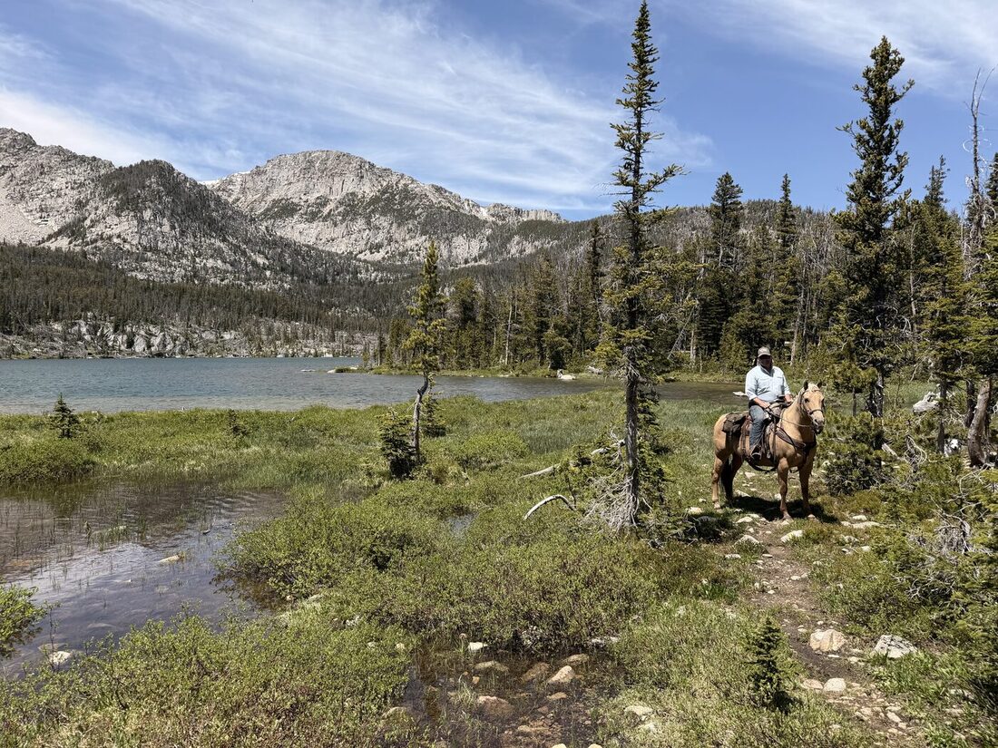 A horse resting beside a wilderness lake in the Montana backcountry
